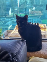 /album/13-12-2025/whatsapp-image-2025-12-13-at-15-09-08-jpeg/